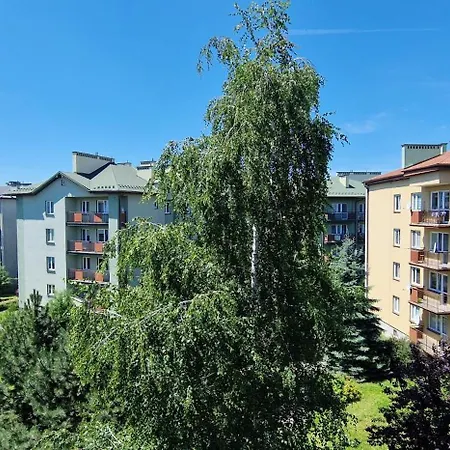 Studio Zielone 26 Tarnow Exterior photo