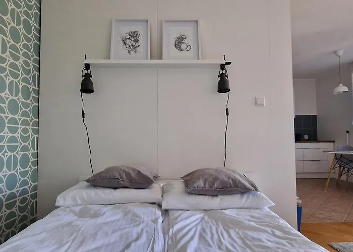 Studio Zielone 26