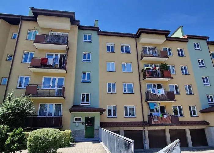Studio Zielone 26